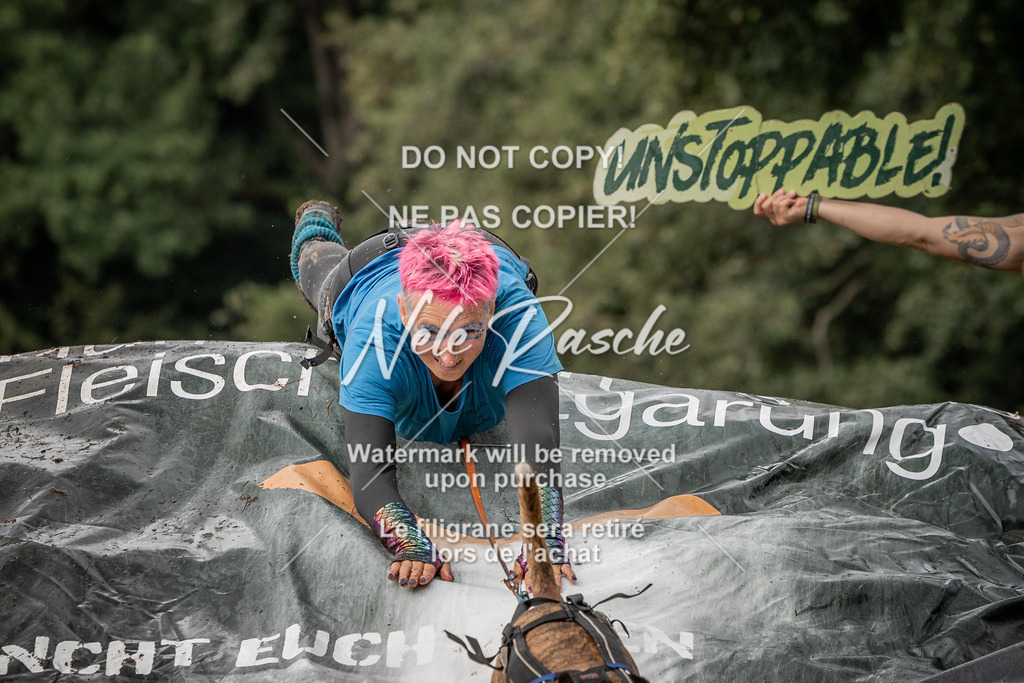 nelerasche_Wingst_Sa1300-1330_46 | nelerasche