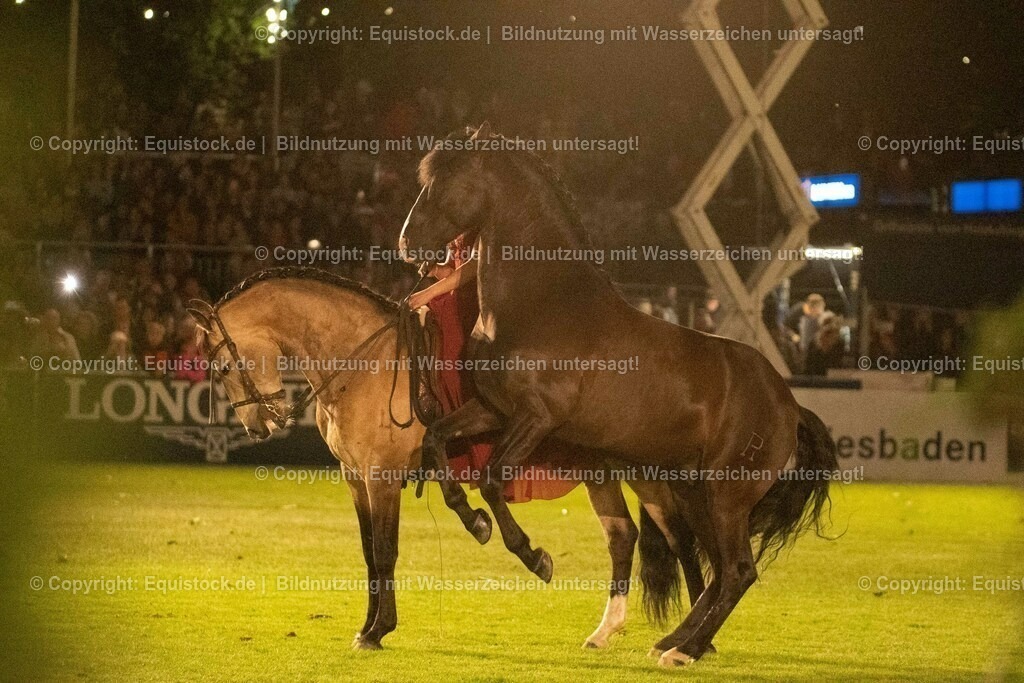 20230526_Pferdenacht_1451 | equistock