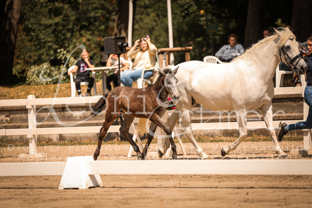 02.DoSR00177 | Leoni Ertmer Photography - Realisiert mit Pictrs.com