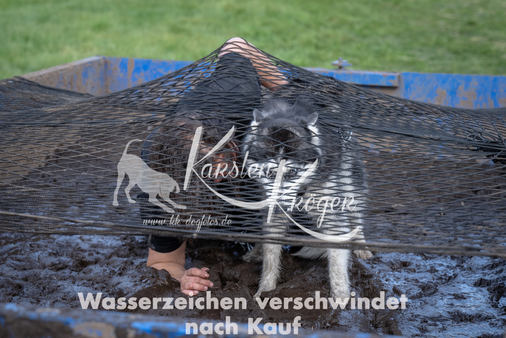 1626_ZZ92594 | kk-dogfotos