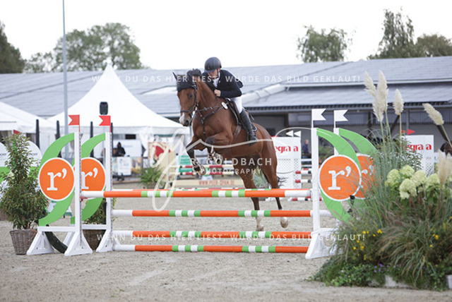 1J2A8348Henry Delfs_ Gonzales D_ Kn486_ Havekost | Foto- und Videografie für alles rund ums Pferd. Hochwertige Bilder und Videos vom Spring- und Dressurreiten, Voltigieren & mehr. Jetzt aktuelle Veranstaltungen und Preise im Shop ansehen. - Realisiert mit Pictrs.com