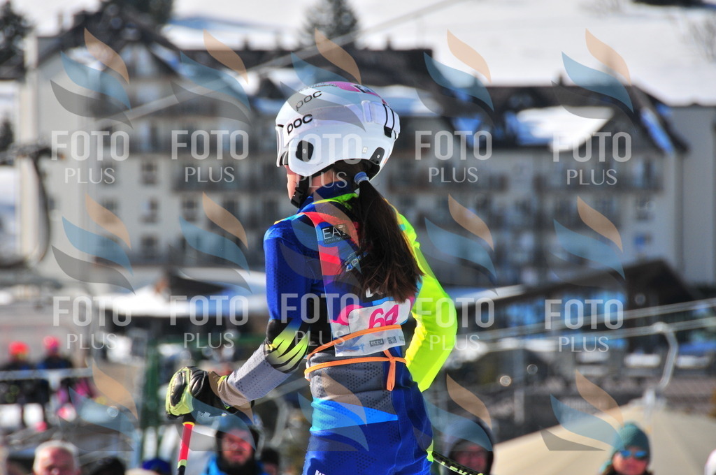 DSC_4237 | holidayphoto