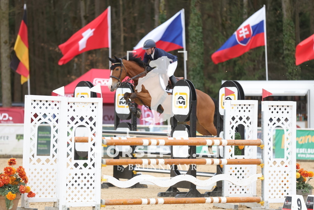 0P6A2209 | Willkommen bei Brunnmayr - Design & Fotografie – Ihrem Spezialisten für Reitturniere und Pferdeveranstaltungen in Oberösterreich, Salzburg und Bayern! Seit über 17 Jahren sind wir leidenschaftlich dabei.