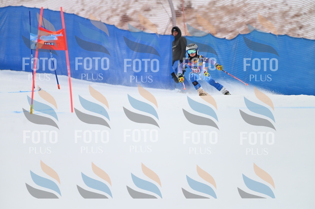 BGV_2558 | holidayphoto