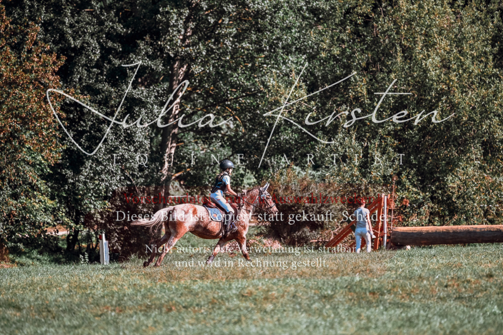 DSC_0703 | Pferde- und Turnierfotografie in Westsachsen. Pferdeportraits, Auftragszeichnungen und intuitive Kunst.