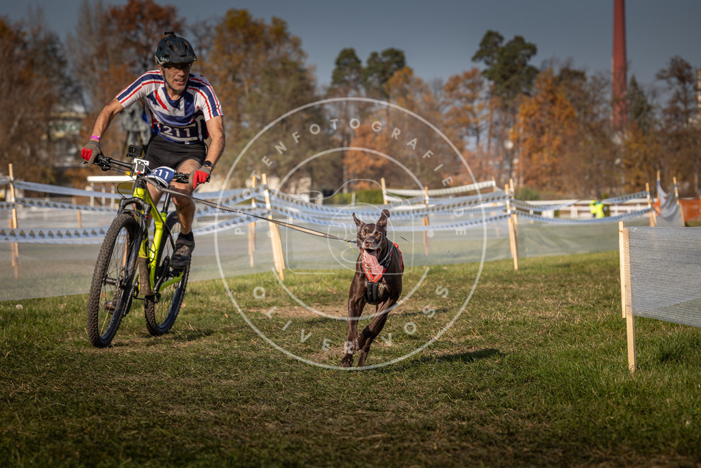CaniXpix_0L8A7182 | Hundefotografie, Tierfotograf, Pfotenfotografie, Fotoshooting Hund, Hunde Portrait, Hundesport, Hundeportraits, Heideshooting, Hunde, Sportfotograf, Hundefotograf, Turnierhundsport, THS,  - Realisiert mit Pictrs.com