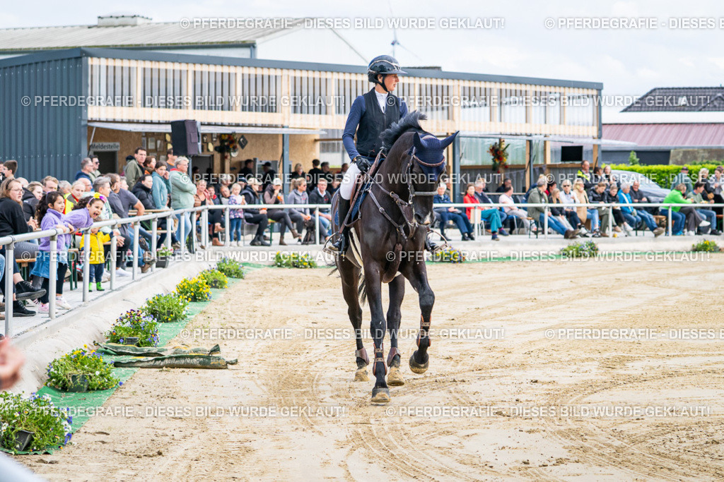 DSC06757 | Pferdegrafie