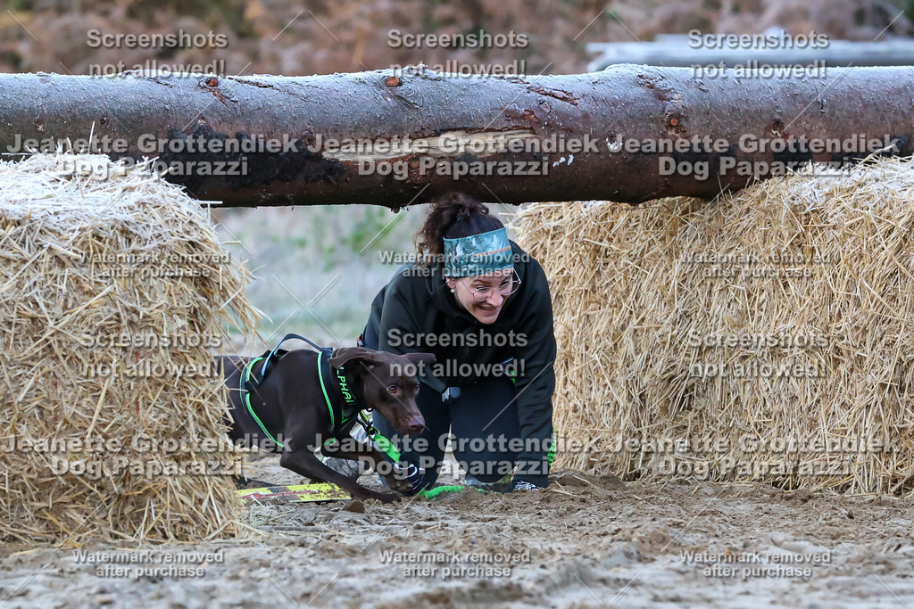 Dog Paparazzi - Strongdog 10-25-99 | Dog Paparazzi Jeanette Grottendiek Fotografie & Videografie - Realisiert mit Pictrs.com