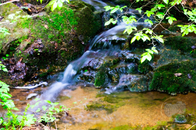 _DSC3568 | Shop für Prints Landschaftsfotografie Sächsische Schweiz Naturfotografie in Thüringen Fotos vom Findlingspark Nochten Kloster Sankt Marienstern Bilder Festung Königstein PanoramaRhododendronpark Kromlau FotogalerSchleswig-Holstein Küstenlandschaften