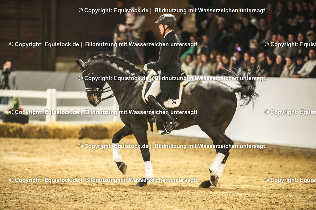 20240302_Hengstvorstellung_Marbach_TOMsPiC_1469 | equistock