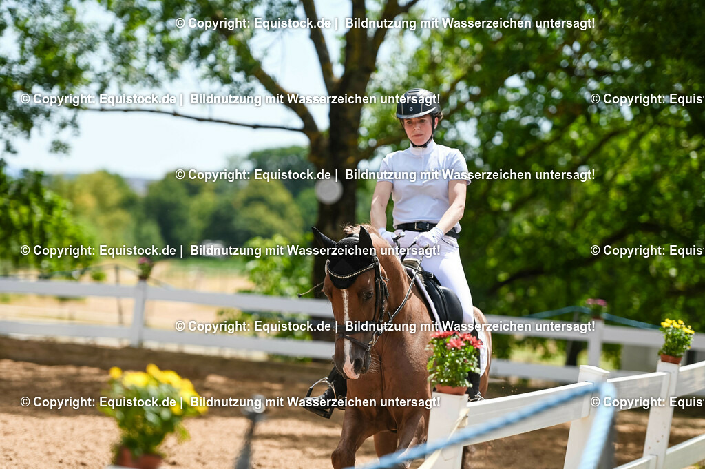 20230715_05_Dressurprüfung Kl.A++_0237 | equistock
