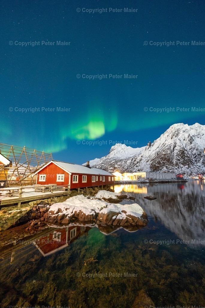 Lofoten_Nov_2023_Peter_Maier-4749 | piet_flosse