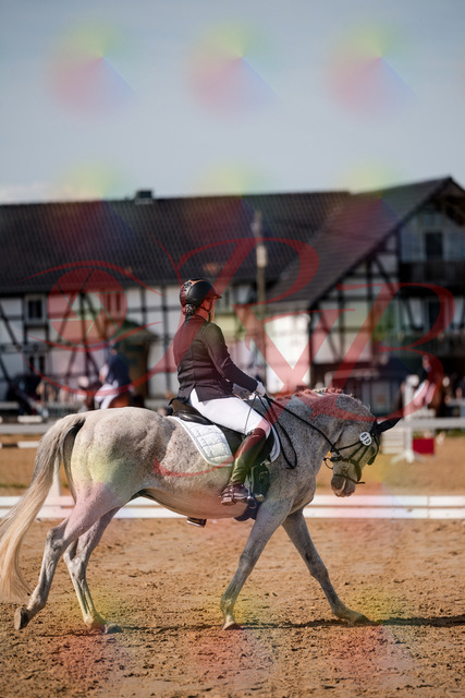 2026_10_03_Siefer-Hof_122916_Z63_50737329 | Professionelle Reitsport-, Turnier- und Eventfotografie von Robert Broda. Galerien mit ausgewählten und bearbeiteten Bildern direkt online ansehen und bestellen.