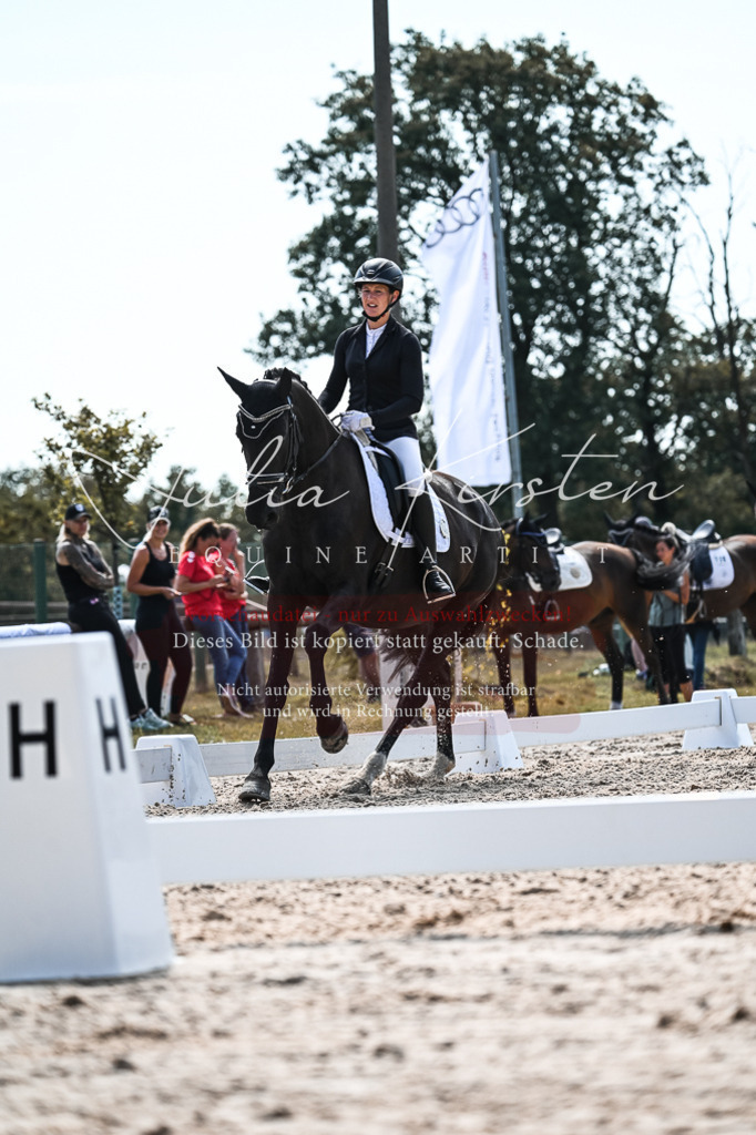 DSC_5352 | Pferde- und Turnierfotografie in Westsachsen. Pferdeportraits, Auftragszeichnungen und intuitive Kunst.