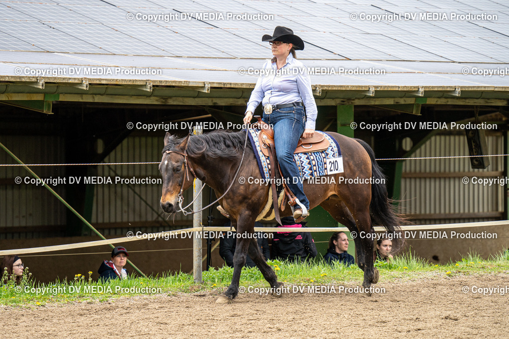 BAL00714 | dv-media-shop - Realisiert mit Pictrs.com