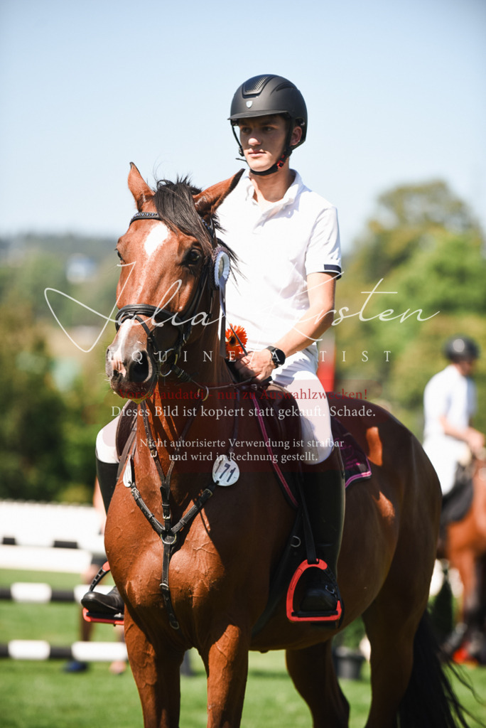 DSC_2937 | Pferde- und Turnierfotografie in Westsachsen. Pferdeportraits, Auftragszeichnungen und intuitive Kunst.