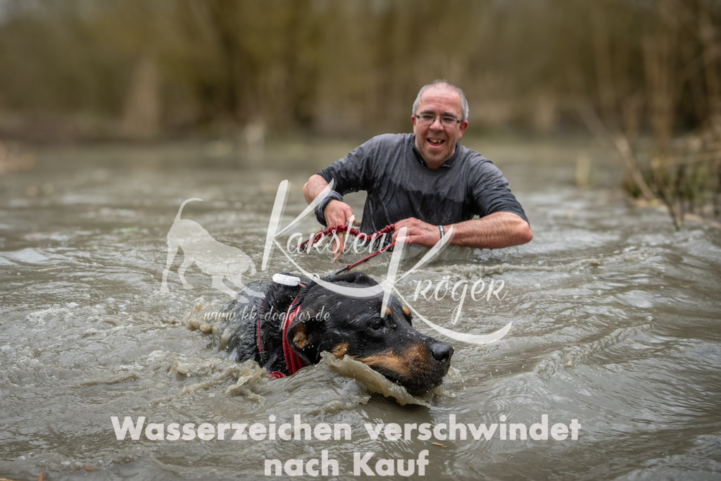 1247_ZZ91153 | kk-dogfotos