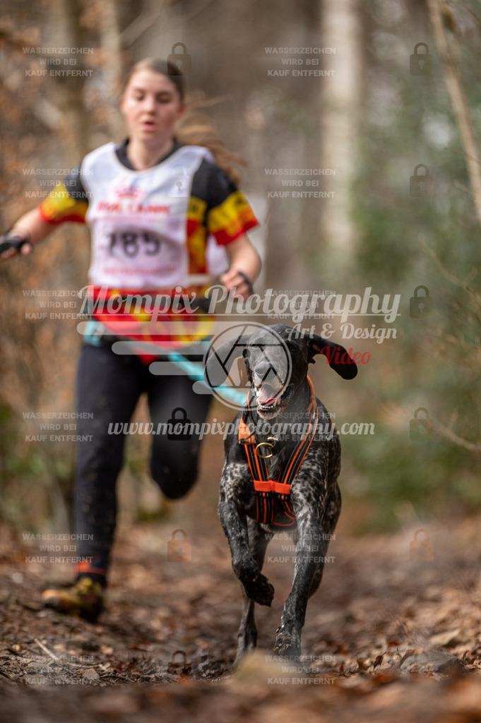 SPA_2023_DIM_CCK-71 | PayLife