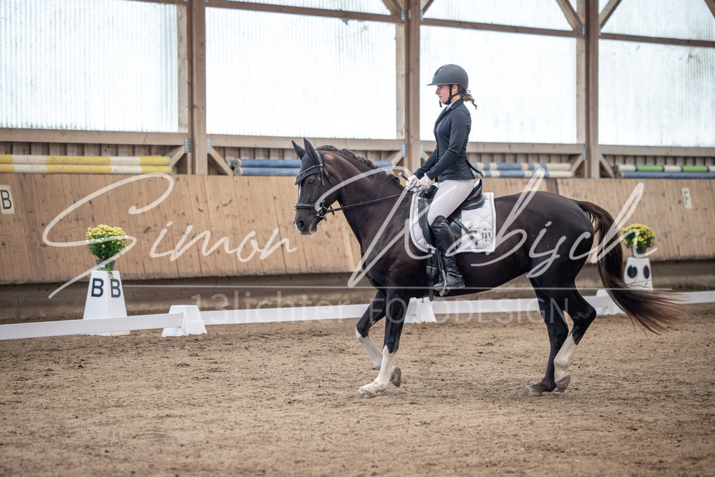 20251011-_3LI9302 | Tierfotografie Pferde, Hunde, Katzen, Haustiere.
Turnierfotografie Reitturniere, Reiten, Springreiten, Dressur in Hanau, dem Main-Kinzig-Kreis und dem Rhein-Main- Gebiet um Frankfurt
