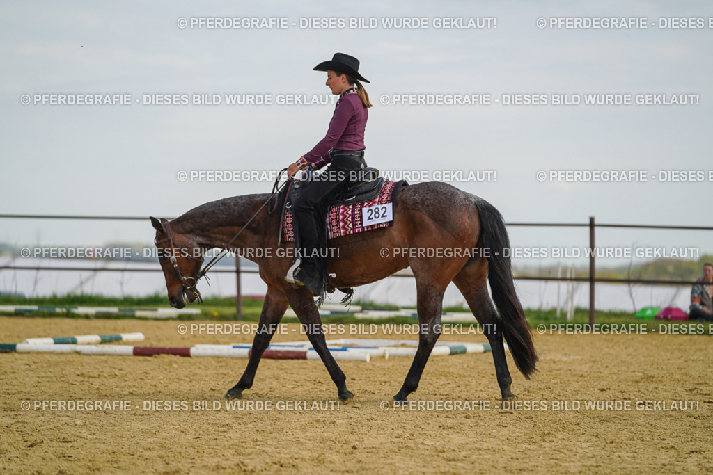 DSC05057 | Pferdegrafie