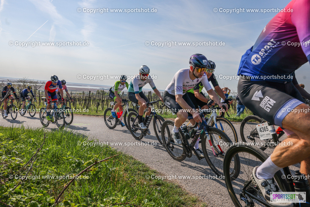 007A9885 | Neusiedlersee Radmarathon #neusiedlerseeradmarathon #neusiedlersee #nrm26 #yourpictrs #sportshot_your_pictrs