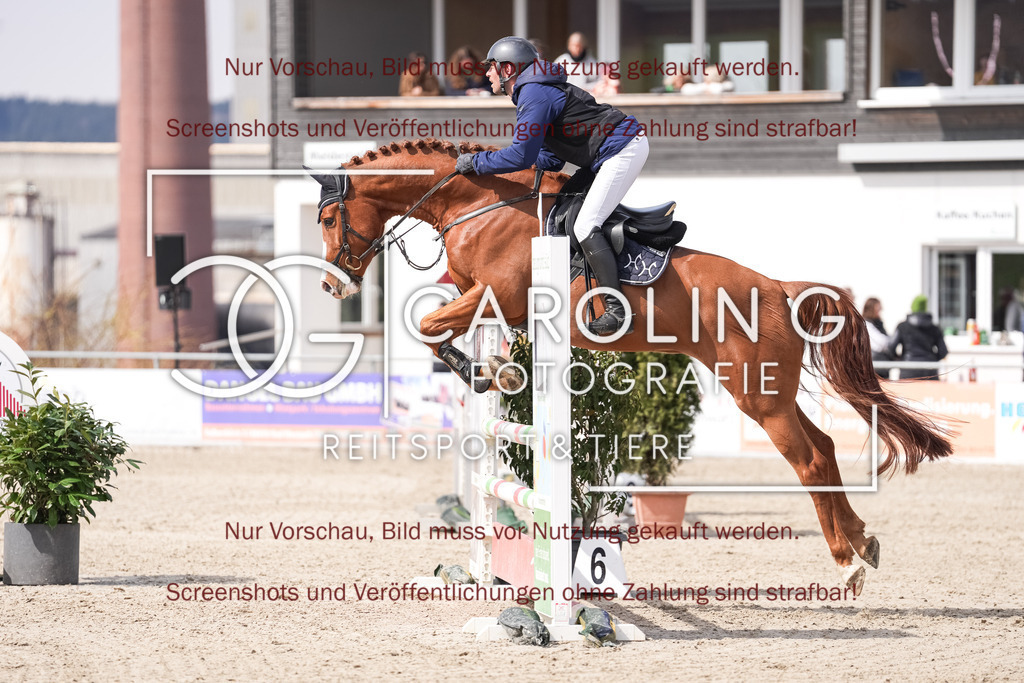 DSC05834 | Late_entry_Springturnier_Bad_Wurzach, Sven_Sieger, Viking_van_de_Heemstede