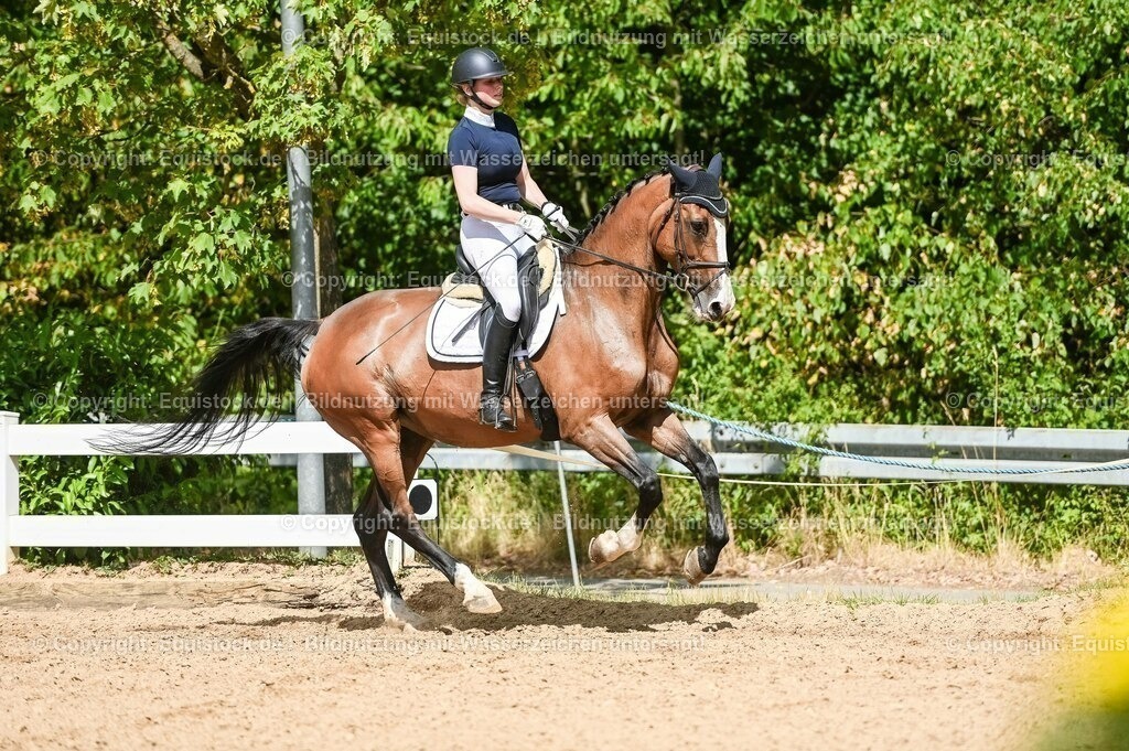 20230715_02_Dressurreiterprüfung Kl.L_0336 | equistock
