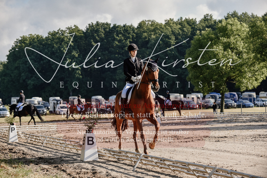 DSC_7742 | Pferde- und Turnierfotografie in Westsachsen. Pferdeportraits, Auftragszeichnungen und intuitive Kunst.