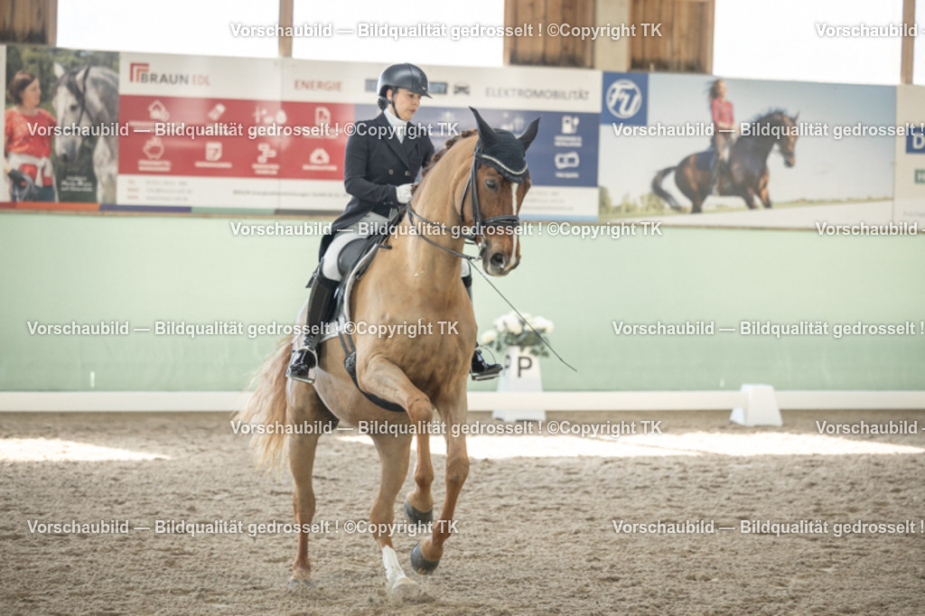 _D5A1376 | Emotionale Pferde- & People-Fotografie rund um Heidelberg, Leimen & Umgebung. Natürliche Fotos von Pferd, Mensch & Familie. Jetzt Termin sichern!