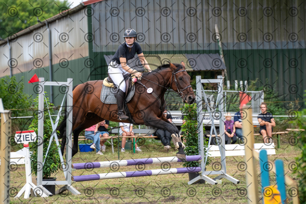 SHT_7734 | andre_photographic