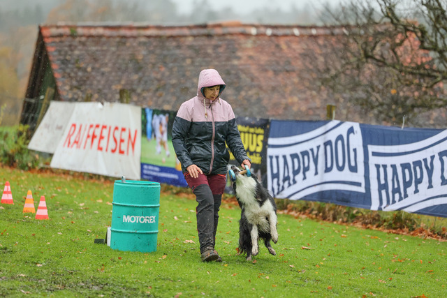2025_Rally_Obedience_SM-120 | Ich fotografiere Hundeausstellungen, Sportanlässe, Zuchtstätten, Hundezucht, Hundeportrait, Lagotto - Realisiert mit Pictrs.com
