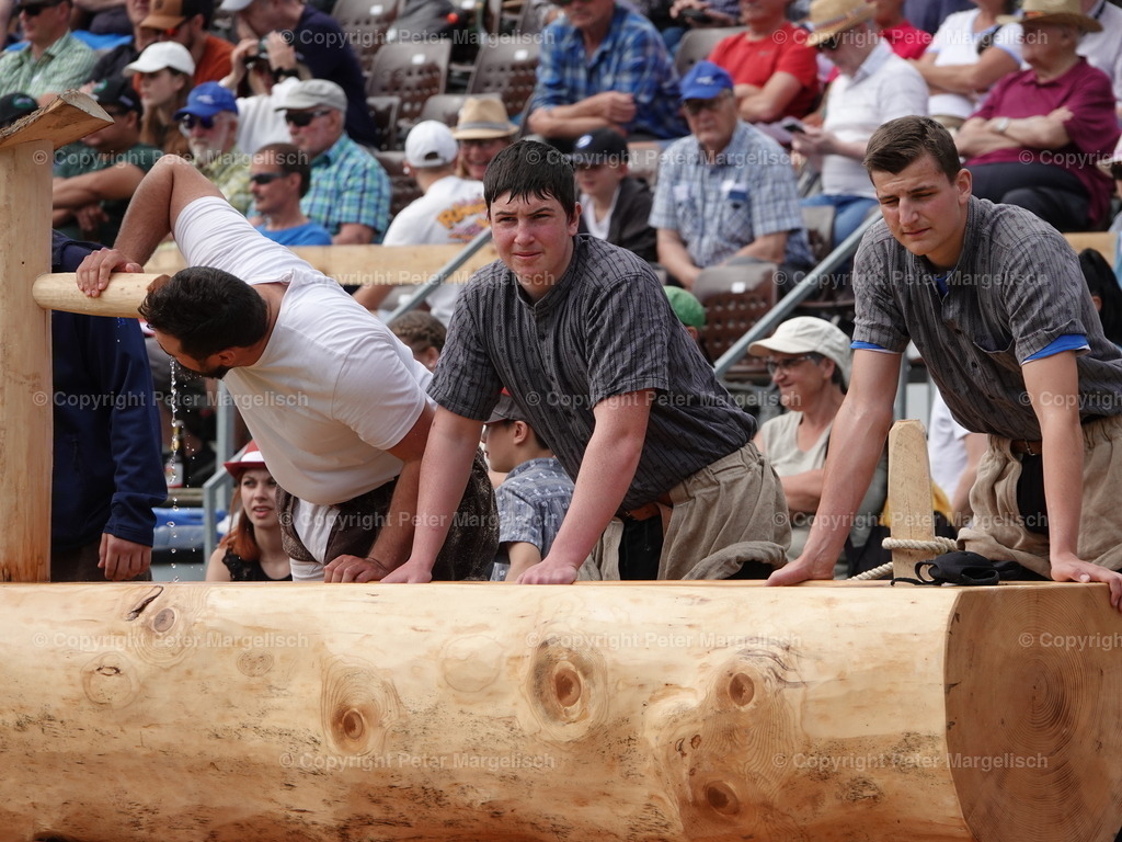 DSC07415 | Schwingen - Realisiert mit Pictrs.com