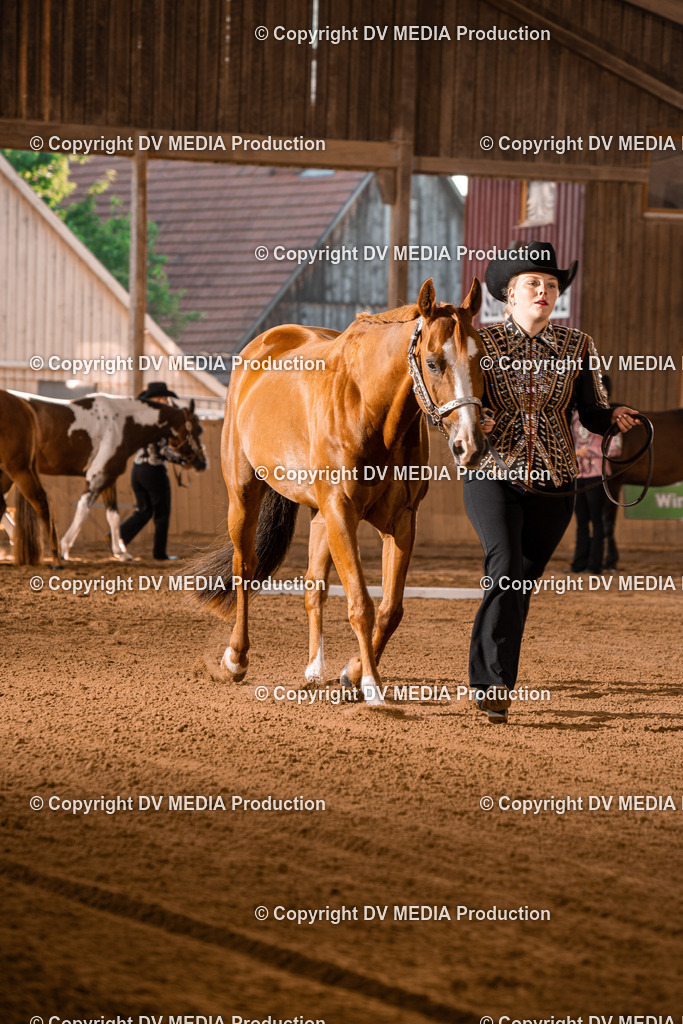 NE100010 | dv-media-shop - Realisiert mit Pictrs.com