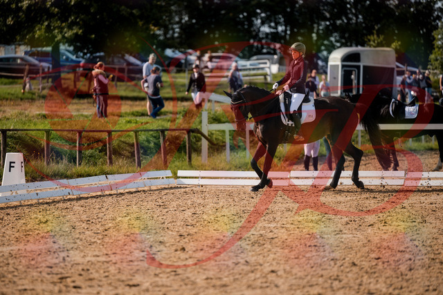 2026_10_03_Siefer-Hof_133442_Z63_93243548 | Professionelle Reitsport-, Turnier- und Eventfotografie von Robert Broda. Galerien mit ausgewählten und bearbeiteten Bildern direkt online ansehen und bestellen.