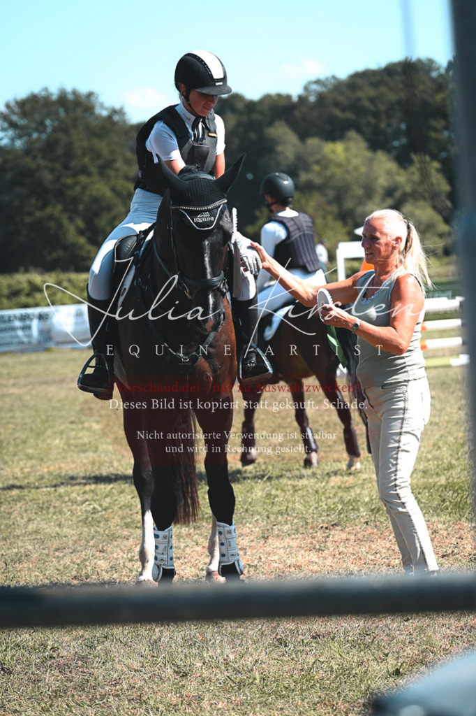 DSC_8420 | Pferde- und Turnierfotografie in Westsachsen. Pferdeportraits, Auftragszeichnungen und intuitive Kunst.