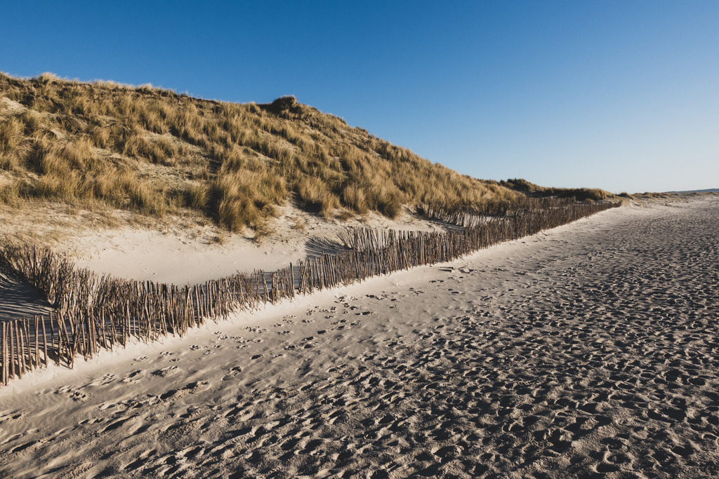 DSC03840 | AHORN PHOTOGRAPHY - Realisiert mit Pictrs.com