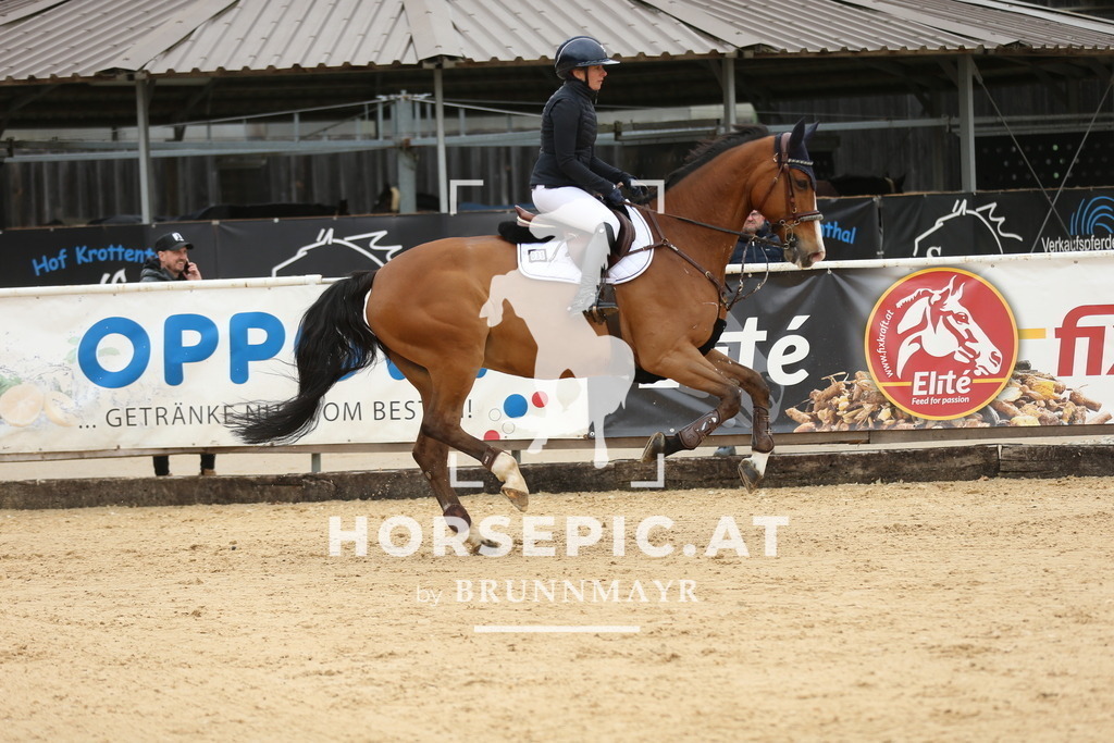 DL2Q5767 | Willkommen bei Brunnmayr - Design & Fotografie – Ihrem Spezialisten für Reitturniere und Pferdeveranstaltungen in Oberösterreich, Salzburg und Bayern! Seit über 17 Jahren sind wir leidenschaftlich dabei.