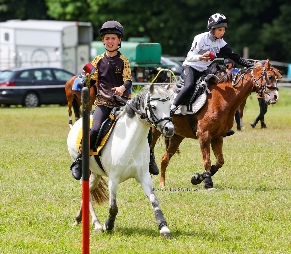 1B3A1036 | Reitsport Reiten