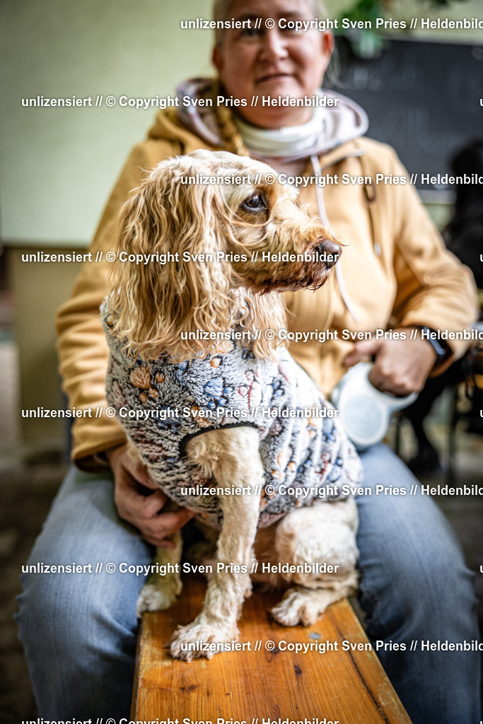 Sven Pries | 2025-10-03 - Hunderennen Obergrombach - Realisiert mit Pictrs.com