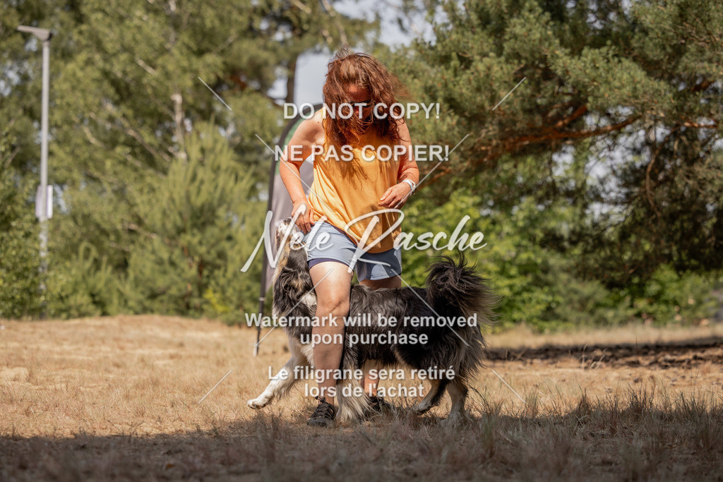 nelerasche_soDD2_467 | nelerasche