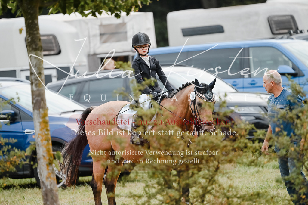DSC_5426-2 | Pferde- und Turnierfotografie in Westsachsen. Pferdeportraits, Auftragszeichnungen und intuitive Kunst.