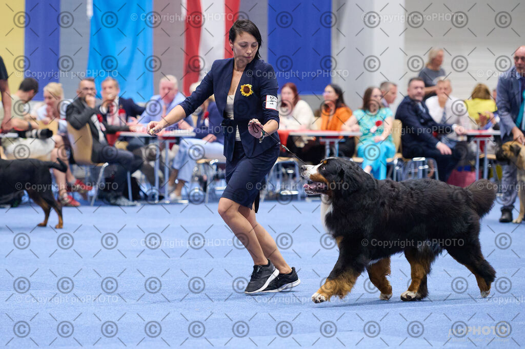 202406_ÖKV-IHA-Tulln24_DSC_2914 | proPHOTO - Realisiert mit Pictrs.com