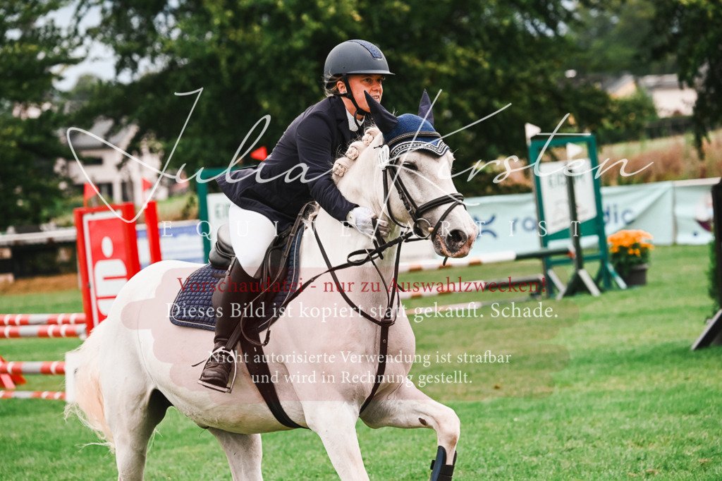 DSC_5955 | Pferde- und Turnierfotografie in Westsachsen. Pferdeportraits, Auftragszeichnungen und intuitive Kunst.
