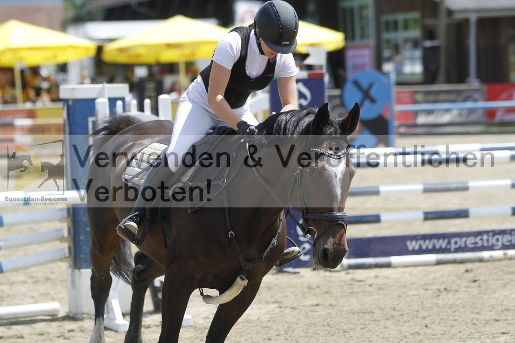 _MG_2665 | equestrian-live-com