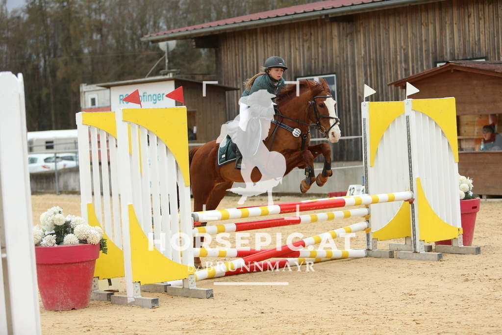 DL2Q1554 | Willkommen bei Brunnmayr - Design & Fotografie – Ihrem Spezialisten für Reitturniere und Pferdeveranstaltungen in Oberösterreich, Salzburg und Bayern! Seit über 17 Jahren sind wir leidenschaftlich dabei.