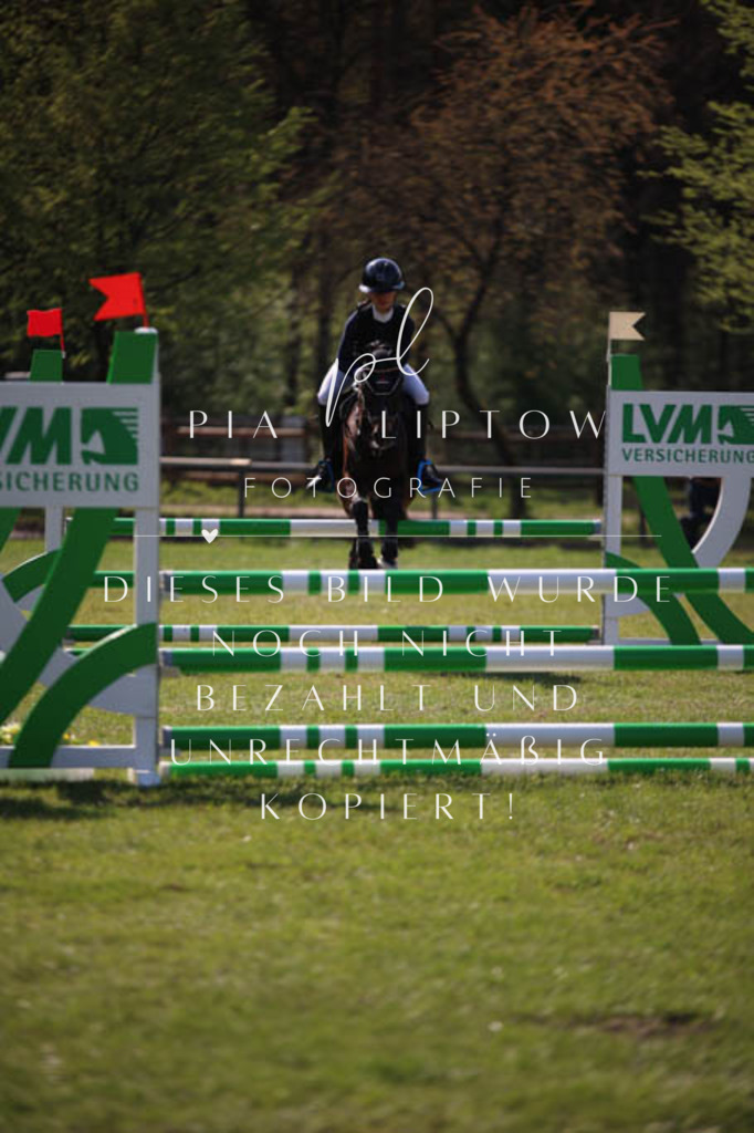 IMGT5692 | pl-fotografie