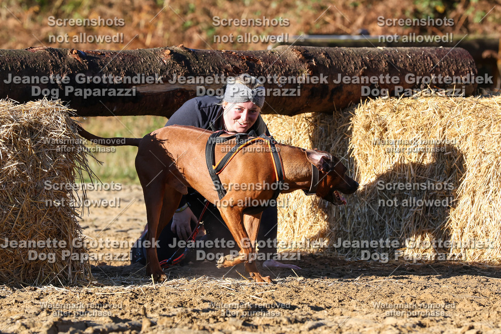 Dog Paparazzi - Strongdog 10-25-1323 | Dog Paparazzi Jeanette Grottendiek Fotografie & Videografie - Realisiert mit Pictrs.com