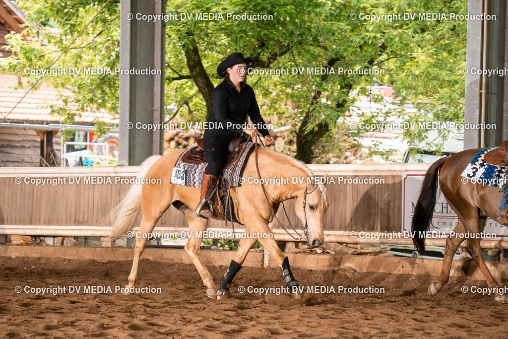 Erbach Tag 4-710 | dv-media-shop - Realisiert mit Pictrs.com