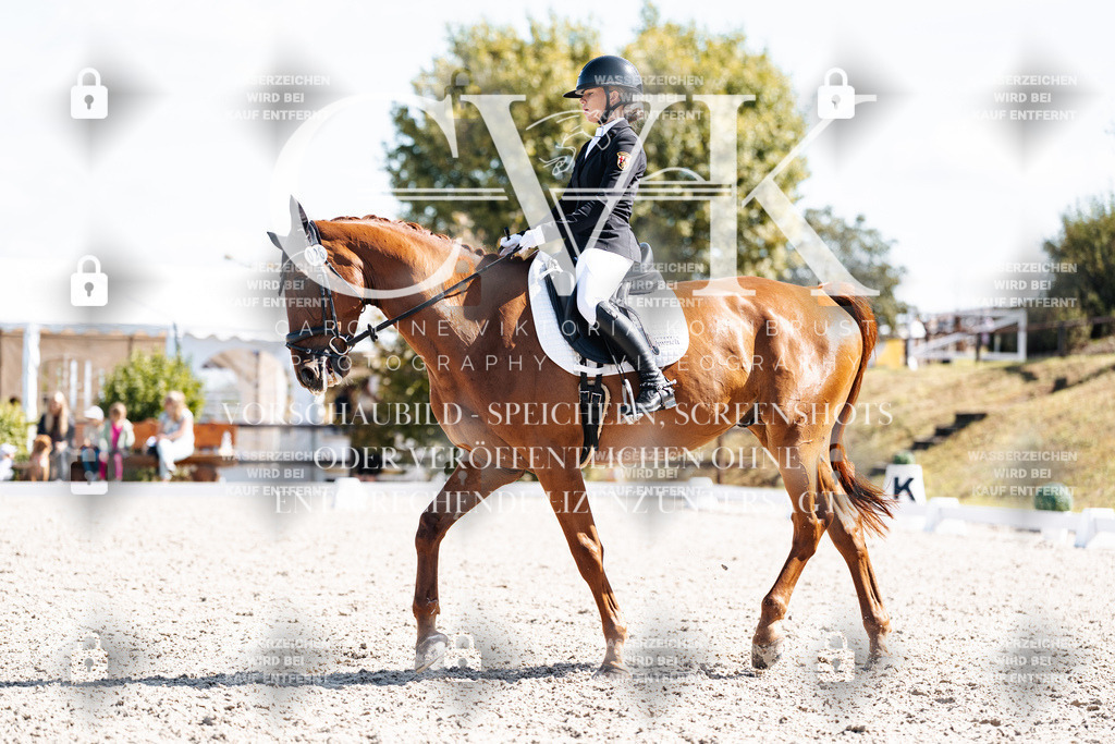 CK902874 | Turnierfotografie Pferdefotografie Trier Rheinland-Pfalz Pferdesport Reitsport Tierfotografie Sportfotografie Pferdevideo Pferdevideografie Equestrianvideography equestrianphotography  - Realisiert mit Pictrs.com