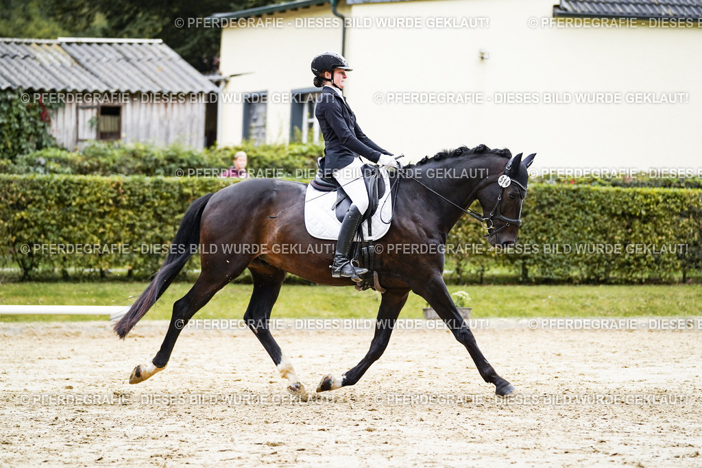 DSC07693 | Pferdegrafie